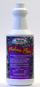 Medina Plus - qt.