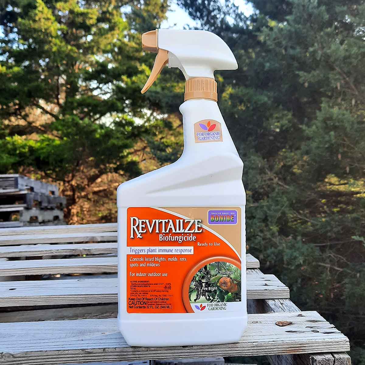 fungicide for plants indoor Revitalize Bio Fungicide Concentrate – Garden Variety Organics