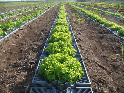 Texas Drought Buster Weed Control Mat & Irrigation Pan
