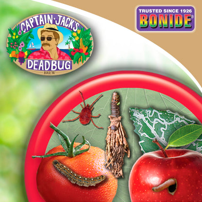 Captain Jack's Deadbug Brew - Concentrate