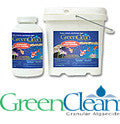 Green clean Granular Algaecide - 1 lb.