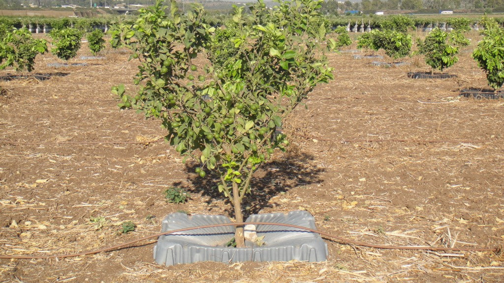 Texas Drought Buster Weed Control Mat and Irrigation Pan